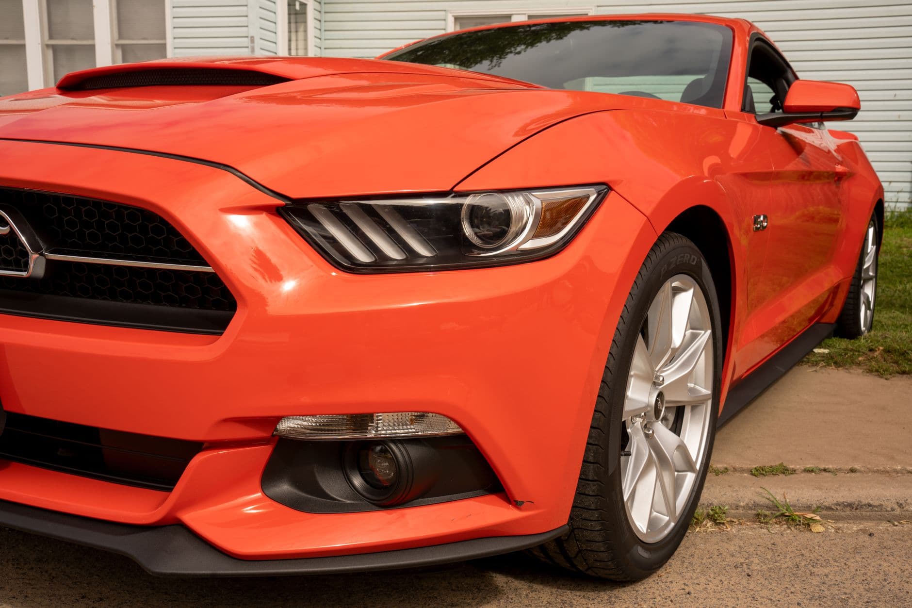 How Much Does It Cost to Get a Car Detailed in Tampa, FL?