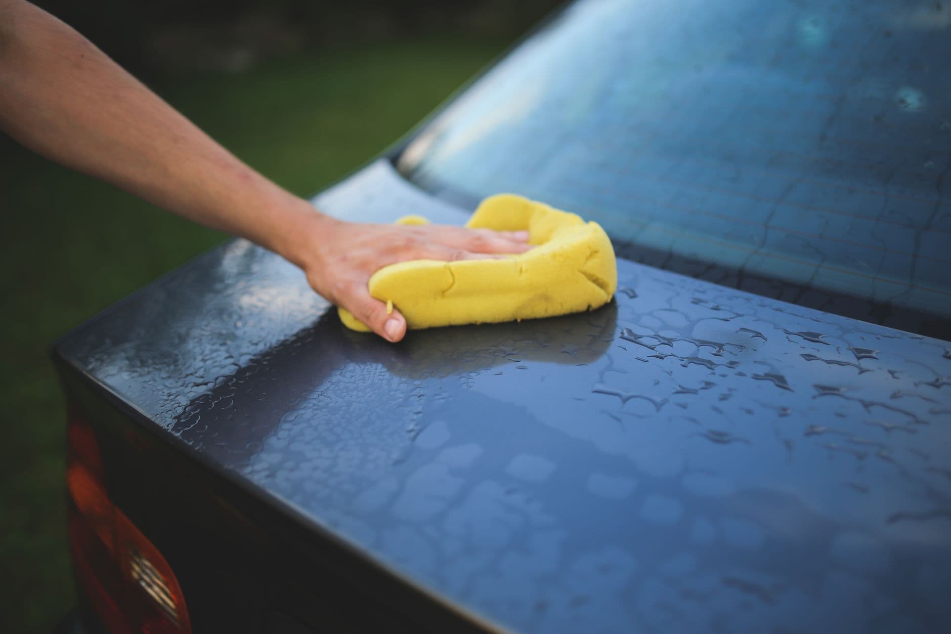 What to Look for in a Car Detailer in Tampa, FL